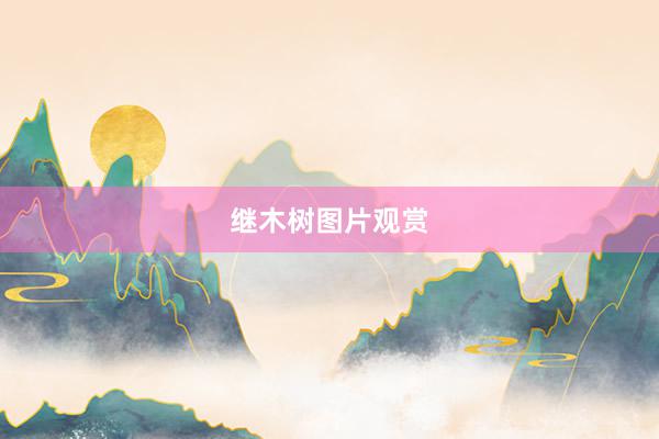 继木树图片观赏