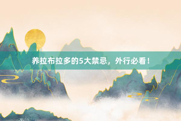 养拉布拉多的5大禁忌，外行必看！