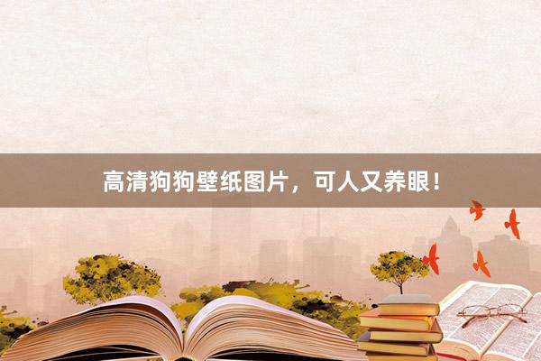 高清狗狗壁纸图片，可人又养眼！